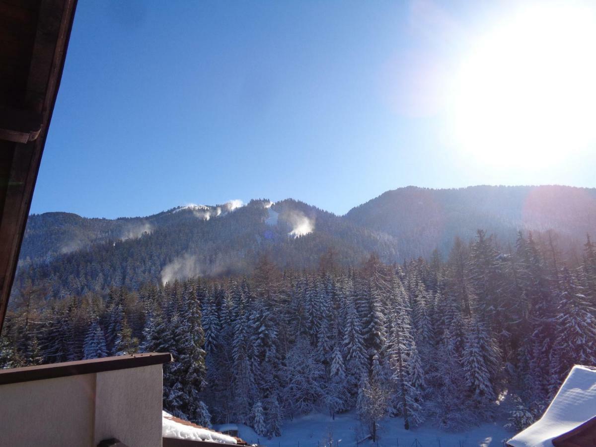 Yastrebetz View Apartman Borovec Kültér fotó